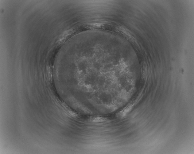 X0000074000467200609111603