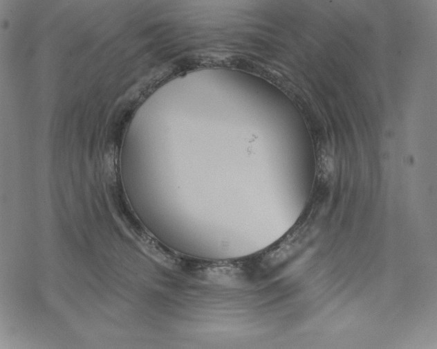 X0000074000468200609111603