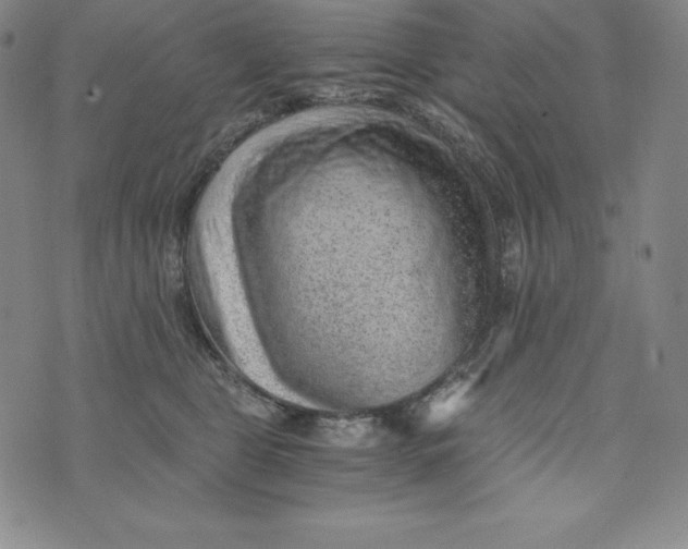 X0000074000469200609111603