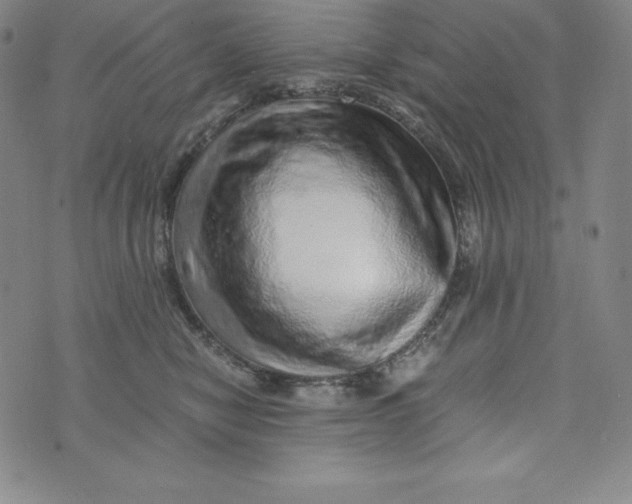 X0000074000470200609111603