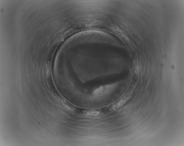 X0000074000471200609111603