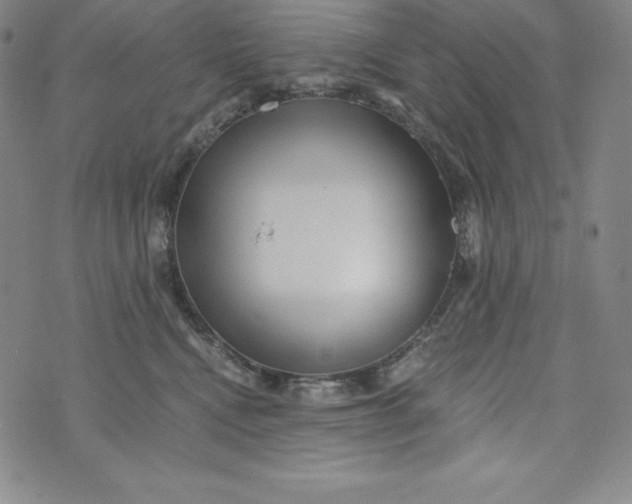 X0000074000472200609111603