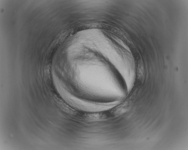 X0000074000473200609111603