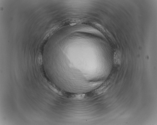 X0000074000474200609111603