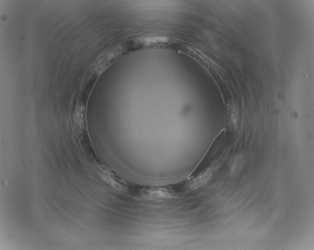 X0000074000475200609111603