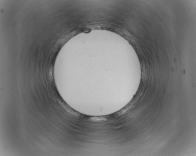 X0000074000477200609111603