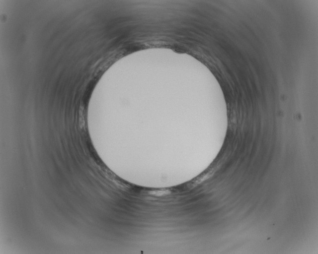 X0000074000478200609111603