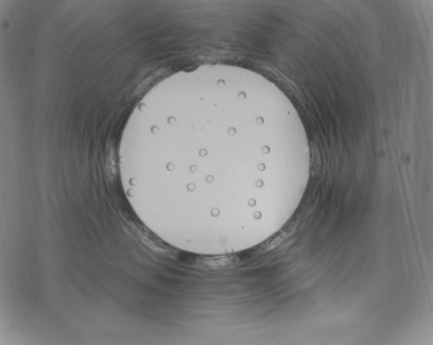 X0000074000479200609111603