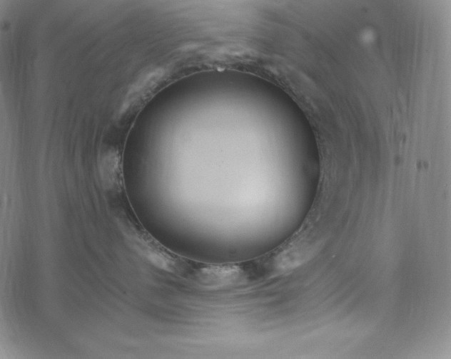 X0000074000480200609111603