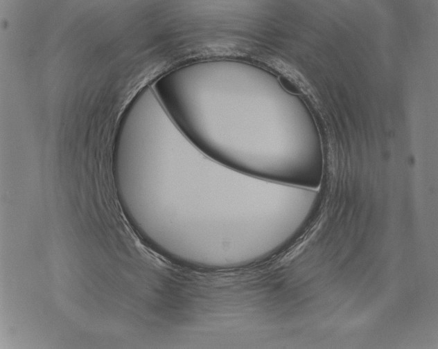 X0000074000481200609111602