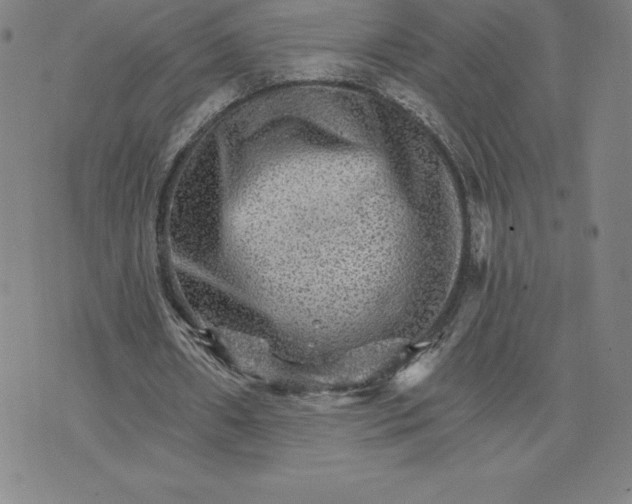 X0000074000482200609111602