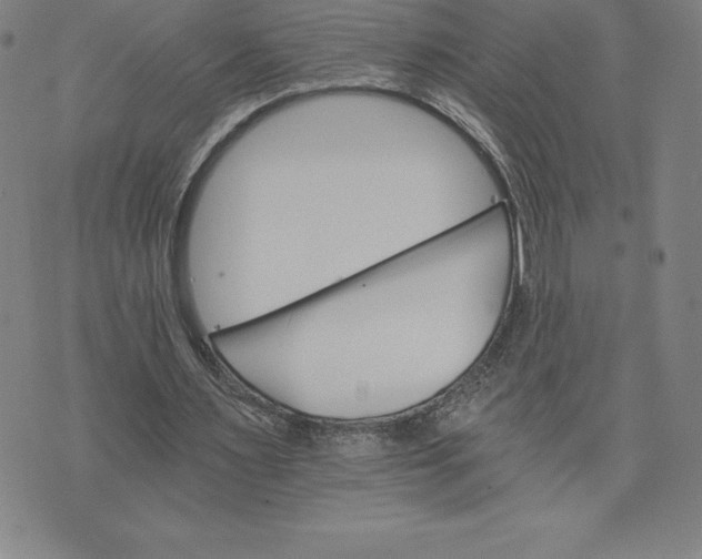 X0000074000483200609111602