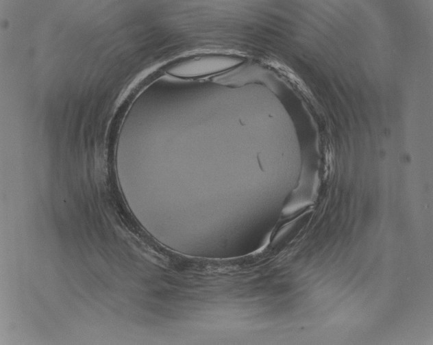 X0000074000484200609111602