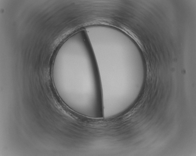 X0000074000485200609111602