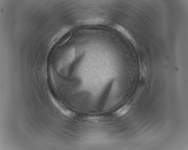 X0000074000486200609111602