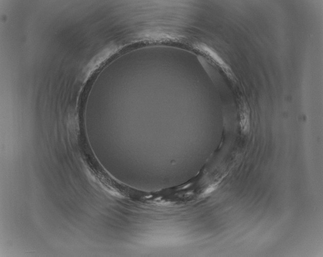 X0000074000488200609111602