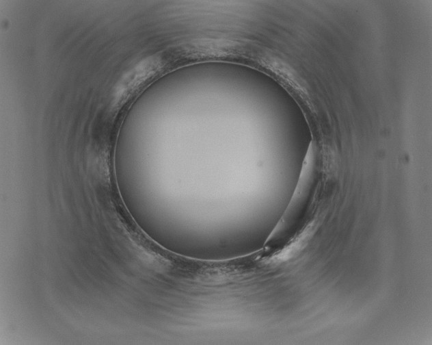 X0000074000489200609111602