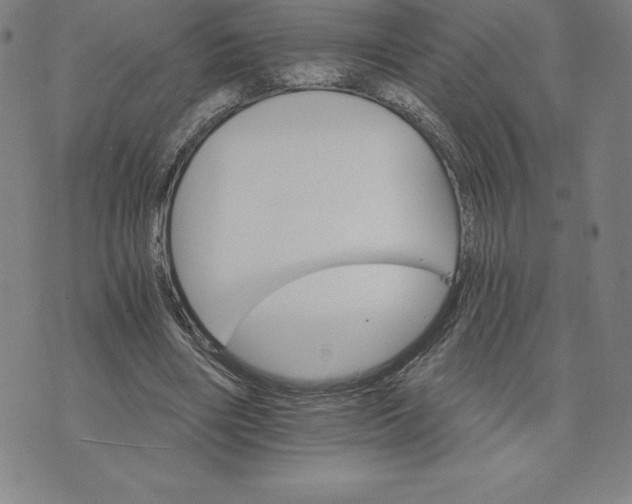 X0000074000490200609111602