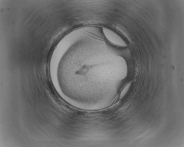 X0000074000491200609111602