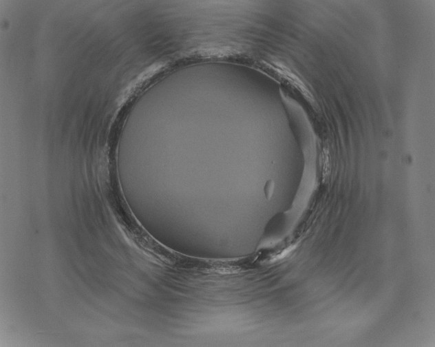 X0000074000492200609111602