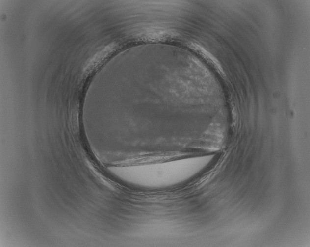 X0000074000493200609111602