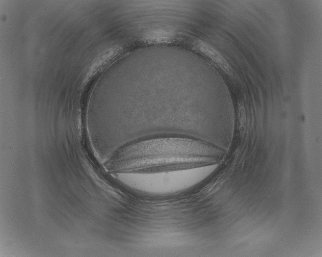 X0000074000494200609111602