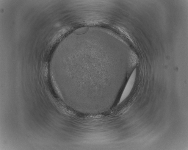 X0000074000495200609111602