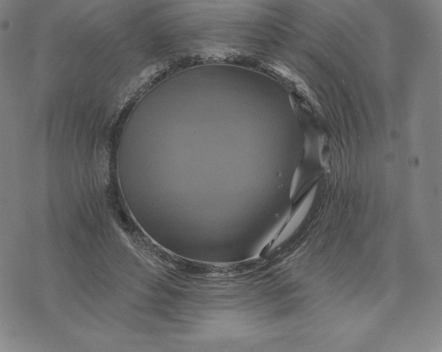 X0000074000496200609111602