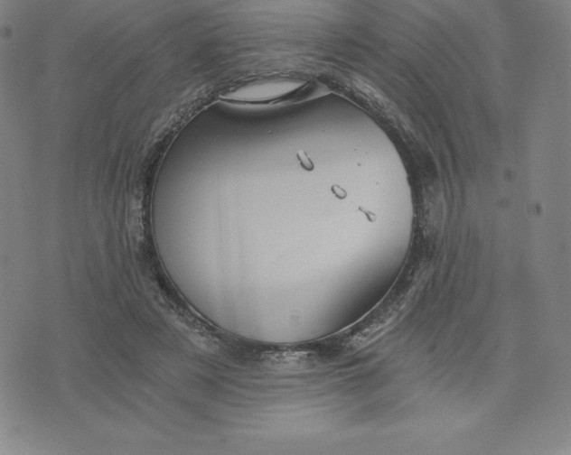 X0000074000497200609111602