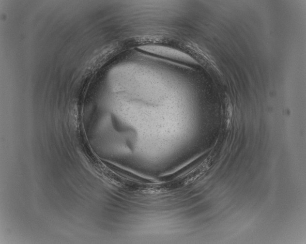 X0000074000498200609111602