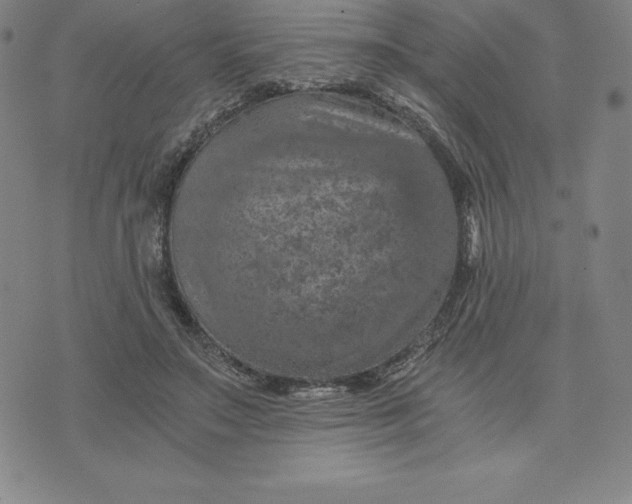 X0000074000499200609111602