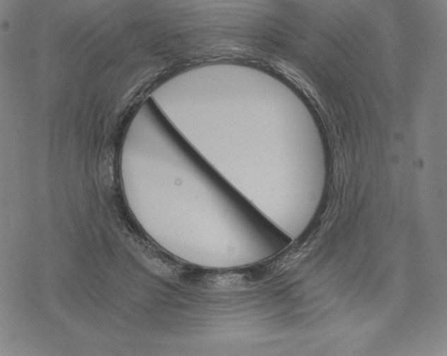 X0000074000501200609111602