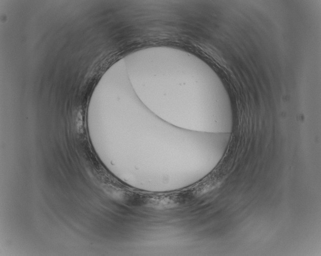 X0000074000502200609111602