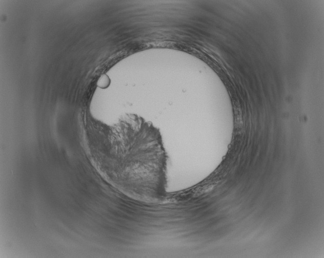 X0000074000503200609111602