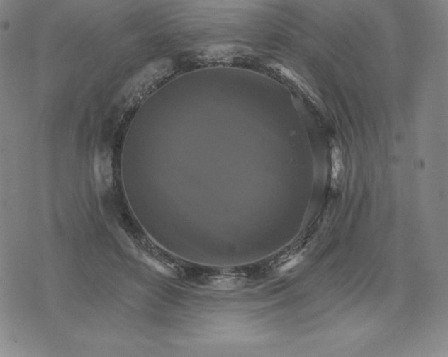 X0000074000504200609111602