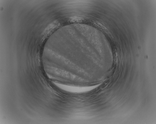 X0000074000508200609111602