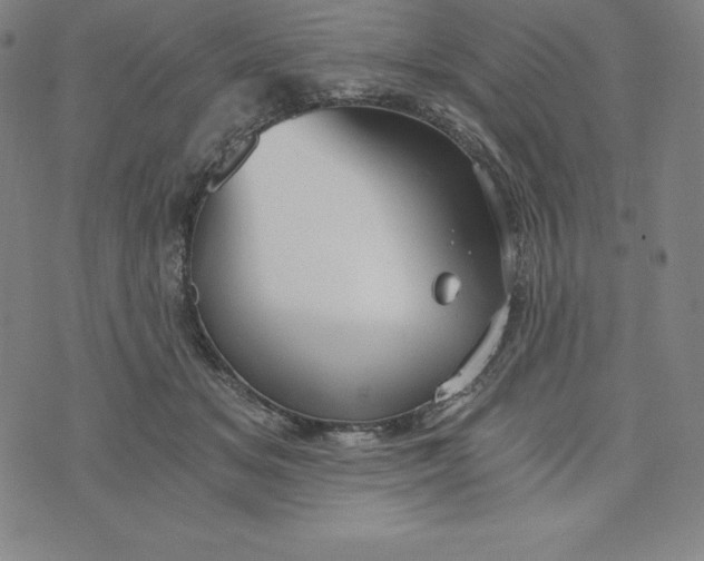 X0000074000509200609111602