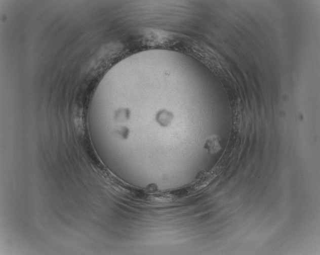 X0000074000510200609111602