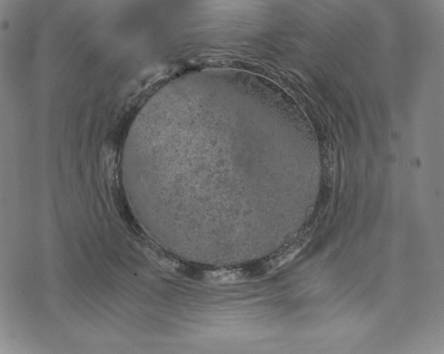 X0000074000511200609111602