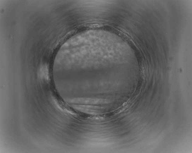 X0000074000512200609111601