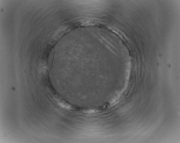 X0000074000513200609111601