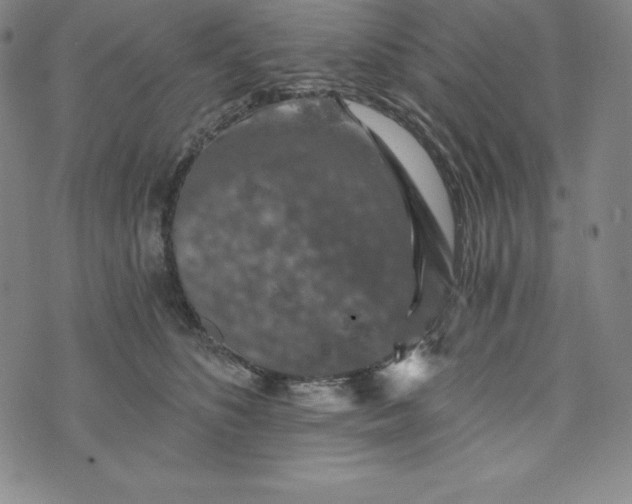 X0000074000516200609111601