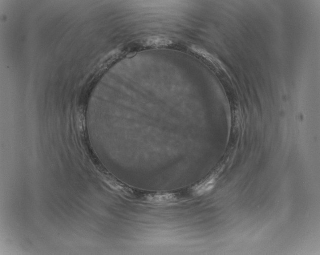 X0000074000517200609111601