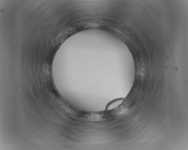 X0000074000518200609111601