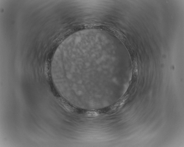 X0000074000519200609111601