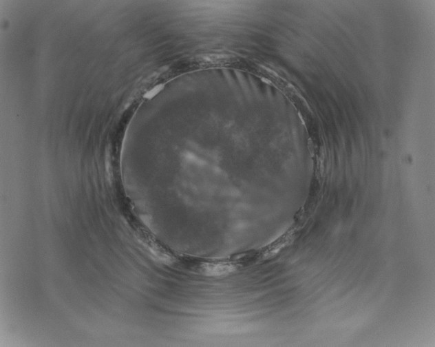 X0000074000520200609111601