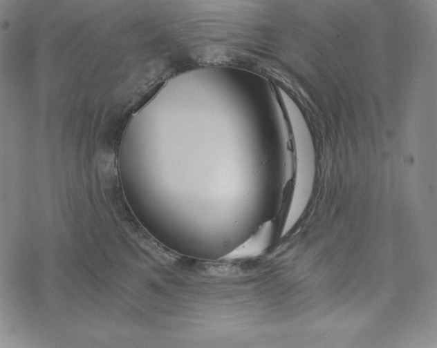 X0000074000521200609111601