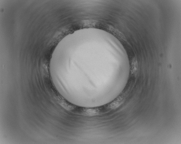 X0000074000522200609111601