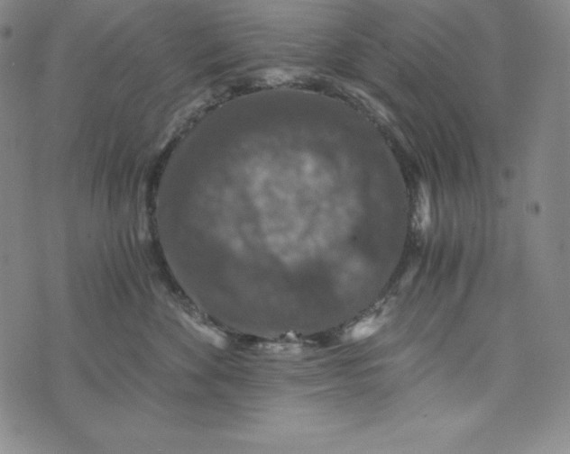 X0000074000524200609111601