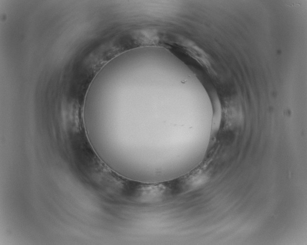 X0000074000525200609111601